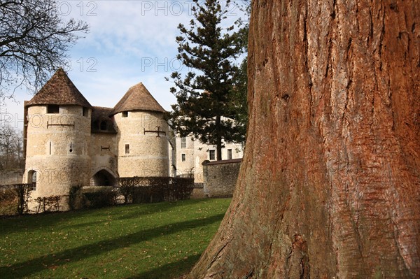 France, Haute Normandie, eure, harcourt, arboretum et chateau, propriete du conseil general de l'eure,