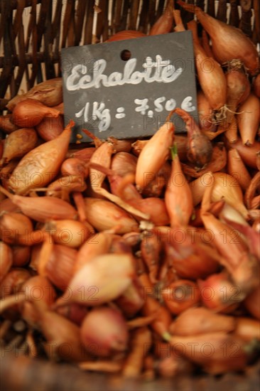 France, Haute Normandie, eure, ferme biologique du bec hellouin, charles et perrine herve gruyer, agriculture, permaculture, boutique,