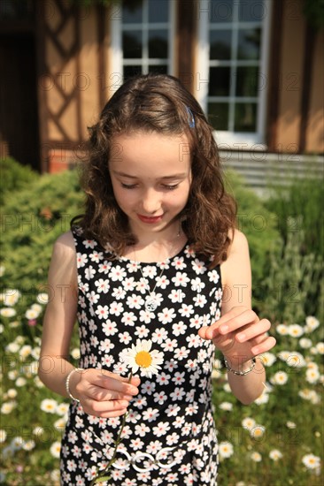 France, Haute Normandie, eure, pays de risle charentonne, saint victor d'epine, promenade en foret en famille, autour du gite rural n 552, proprietaire anne marie rault, hebergement, gites de france, ado, fille, 12 ans, effeuillage de marguerite,