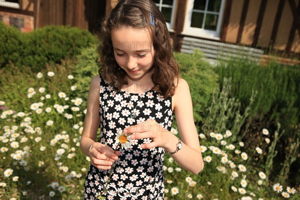 France, Haute Normandie, eure, pays de risle charentonne, saint victor d'epine, promenade en foret en famille, autour du gite rural n 552, proprietaire anne marie rault, hebergement, gites de france, ado, fille, 12 ans, effeuillage de marguerite,