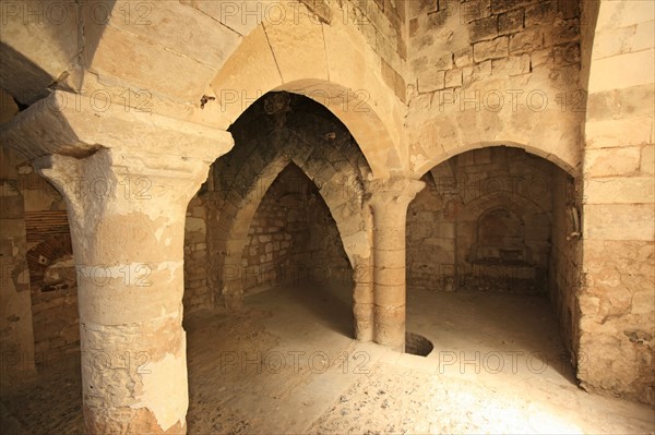 France, Haute Normandie, eure, pont de l'arche, abbaye de bonport, monument historique, abbaye cistercienne, vestiges de l'ancienne cheminee des cuisines,