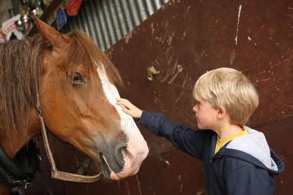 France, Beaulieu farm