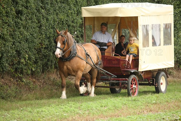 France, Haute Normandie, eure, lieurey, ferme beaulieu, max peuffier, attelage, chevaux de trait postiers bretons, bienvenue a la ferme,