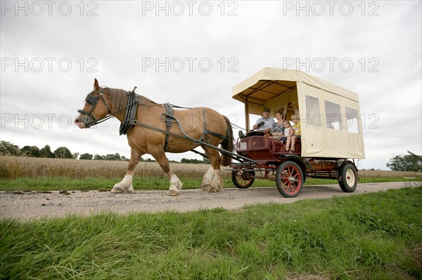 France, Haute Normandie, eure, lieurey, ferme beaulieu, max peuffier, attelage, chevaux de trait postiers bretons, bienvenue a la ferme,