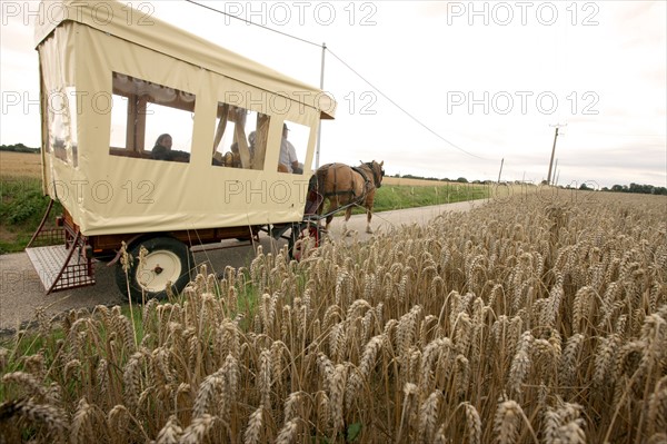 France, Haute Normandie, eure, lieurey, ferme beaulieu, max peuffier, attelage, chevaux de trait postiers bretons, bienvenue a la ferme,