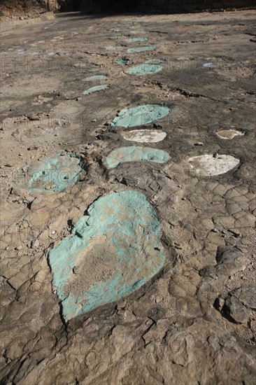 France, franche comté, jura, loulle, traces de dinosaures, site protege, prehistoire, jurassique, archeologie, patrimoine naturel, paleontologie,