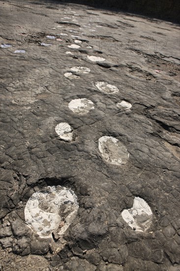 France, franche comté, jura, loulle, traces de dinosaures, site protege, prehistoire, jurassique, archeologie, patrimoine naturel, paleontologie,