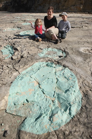 France, franche comté, jura, loulle, traces de dinosaures, site protege, prehistoire, jurassique, archeologie, patrimoine naturel, paleontologie, famille,