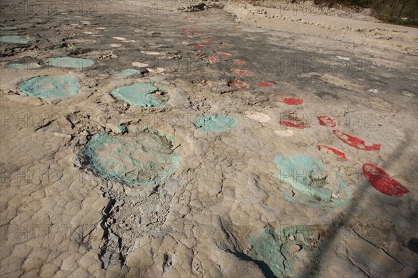 France, franche comté, jura, loulle, traces de dinosaures, site protege, prehistoire, jurassique, archeologie, patrimoine naturel, paleontologie,