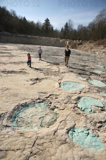 France, franche comté, jura, loulle, traces de dinosaures, site protege, prehistoire, jurassique, archeologie, patrimoine naturel, famille, enfants,