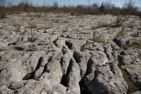 France, franche comte, jura, loulle, les lapiaz de loulle, sol prehistorique, curiosite geologique, jurassique, prehistoire,