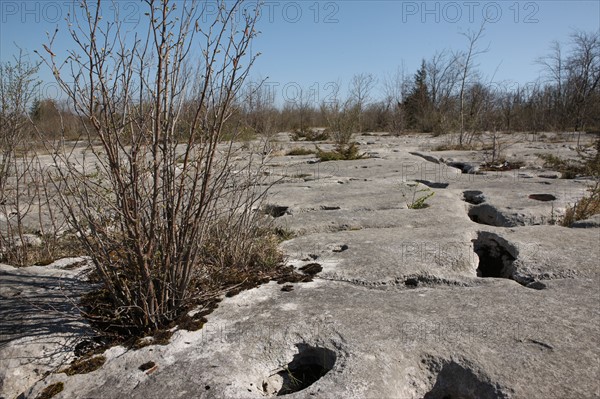 France, franche comte, jura, loulle, les lapiaz de loulle, sol prehistorique, curiosite geologique, jurassique, prehistoire,