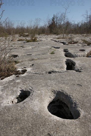 France, franche comte, jura, loulle, les lapiaz de loulle, sol prehistorique, curiosite geologique, jurassique, prehistoire,