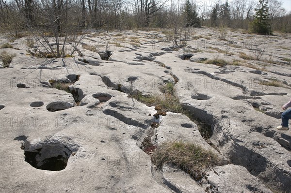 France, franche comte, jura, loulle, les lapiaz de loulle, sol prehistorique, curiosite geologique, jurassique, prehistoire,