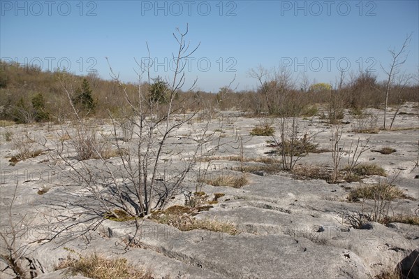 France, franche comte, jura, loulle, les lapiaz de loulle, sol prehistorique, curiosite geologique, jurassique, prehistoire,