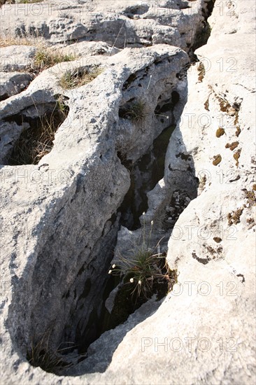 France, Loulle limestone pavement