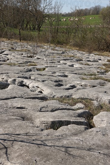 France, franche comte, jura, loulle, les lapiaz de loulle, sol prehistorique, curiosite geologique, jurassique, prehistoire,