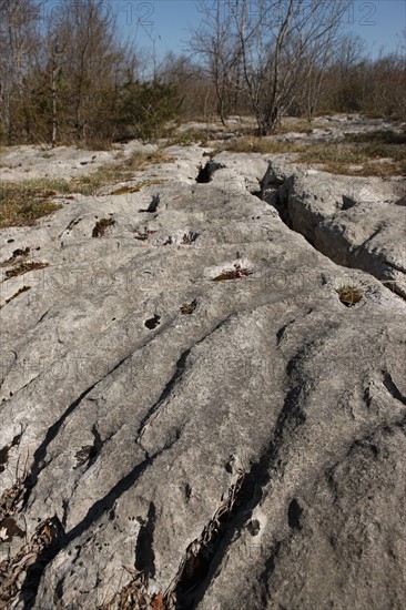 France, franche comte, jura, loulle, les lapiaz de loulle, sol prehistorique, curiosite geologique, jurassique, prehistoire,