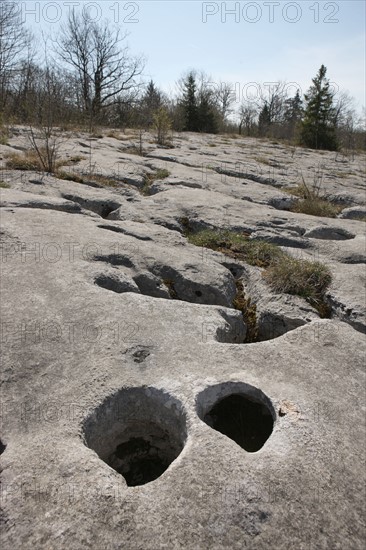 France, Loulle limestone pavement