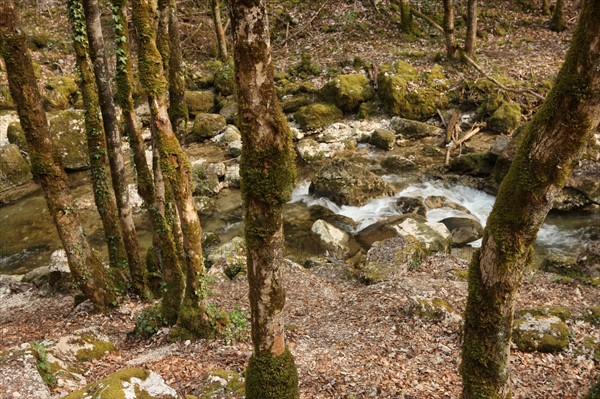 France, franche comte, jura, menetrux en joux, cascades du herisson, pays des lacs, eau, chutes, paysage, nature,