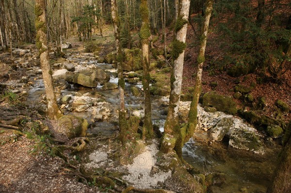 France, franche comte, jura, menetrux en joux, cascades du herisson, pays des lacs, eau, chutes, paysage, nature,