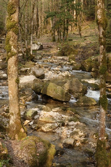 France, franche comte, jura, menetrux en joux, cascades du herisson, pays des lacs, eau, chutes, paysage, nature,