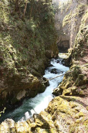 France, franche comte, jura, pays des lacs, agriculture, route du comté, paysage, nature, hiver, gorges de la langouette, eau, riviere,