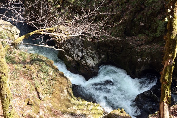 France, franche comte, jura, pays des lacs, agriculture, route du comté, paysage, nature, hiver, gorges de la langouette, eau, riviere,