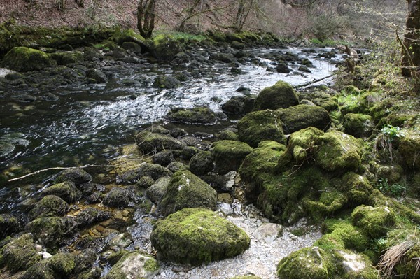 France, franche comte, jura, nozeroy, source de l'ain, pays des lacs, eau, paysage, nature, hiver,