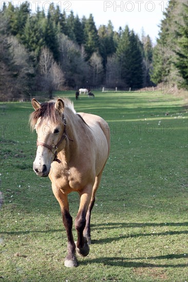 France, ferme de séjour