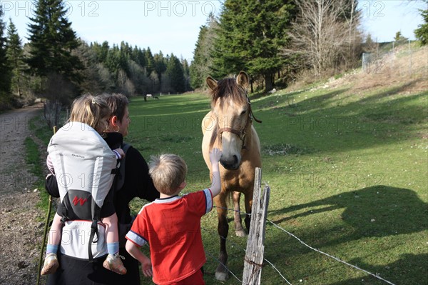 France, ferme de séjour