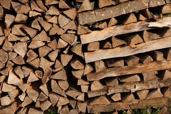 France, franche comte, jura, lent, ferme de sejour, pays des lacs, agriculture, route du comte, paysage, nature, hiver, tas de bois de chauffage,