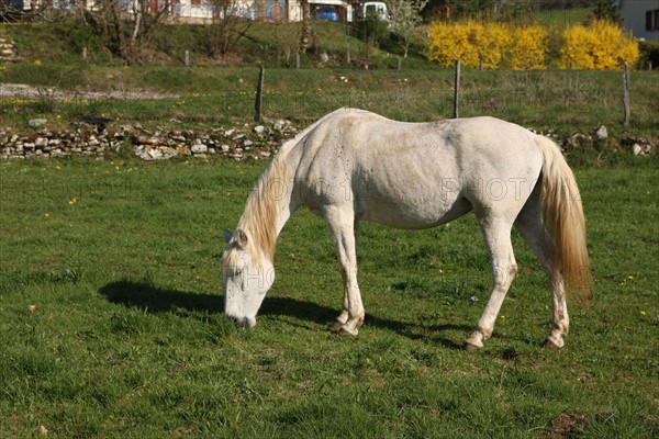 France, ferme de séjour