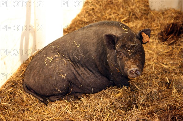 France, ferme de séjour