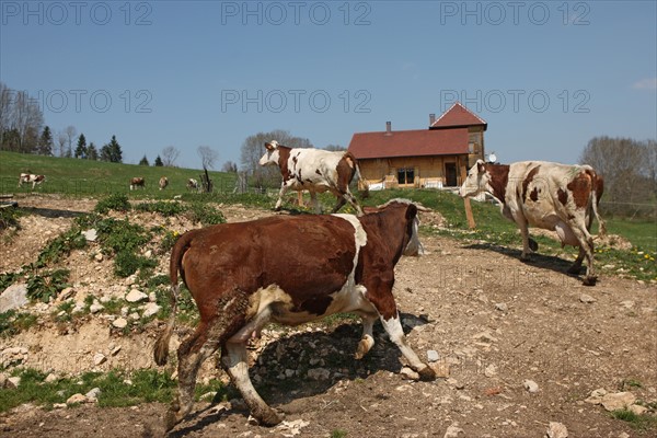 France, ferme de séjour