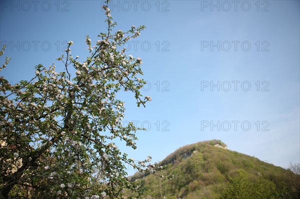 France, franche comté, jura, baume les messieurs, village, patrimoine, montagne, reculée, nature, arbre en fleur,