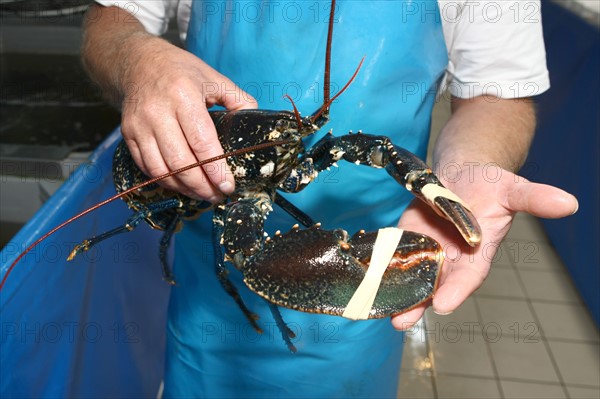 France, Fishmonger le petit mareyeur