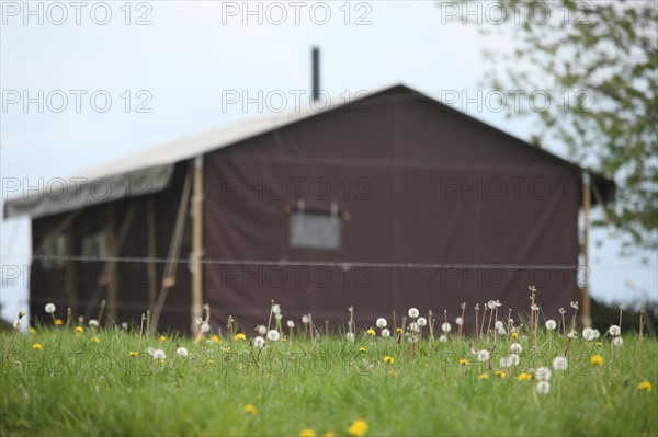 France, Basse Normandie, manche, sartilly, baie du mont saint michel, sartilly, un lit au pre, ferme de sylvie et yves guillard, hebergement, camping,