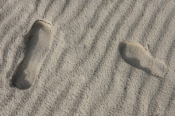 France, Basse Normandie, manche, cote des havres, portbail, littoral, mer, port, bateaux, port, maree basse, sable, estran, trace de pas, chaussure marquee dans le sol,