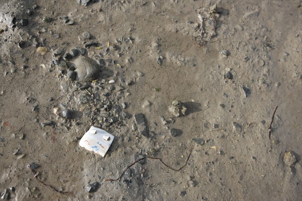 France, Basse Normandie, manche, cote des havres, portbail, littoral, mer, port, bateaux, port, maree basse, sable, estran, pollution, detritus, morceau de porcelaine,