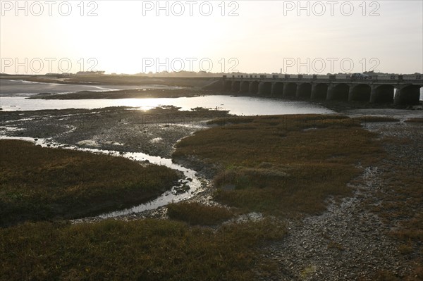 France, Basse Normandie, manche, cote des havres, portbail, littoral, mer, port, bateaux, port, maree basse, soleil couchant,