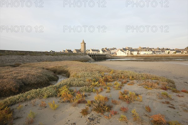 France, Basse Normandie, manche, cote des havres, portbail, littoral, mer, port, bateaux, port, maree basse, soleil levant, clocher, sable, vegetation,