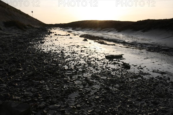 France, Basse Normandie, manche, cote des havres, portbail, littoral, mer, port, bateaux, port, maree basse, soleil levant,