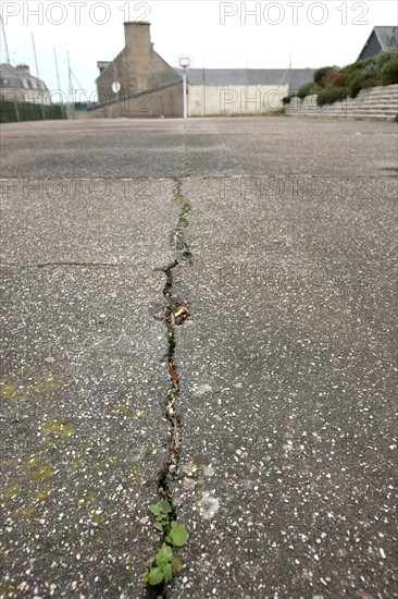 France, Basse Normandie, manche, cote des havres, portbail, littoral, mer, detail du sol, fissure, ciment, mousse,