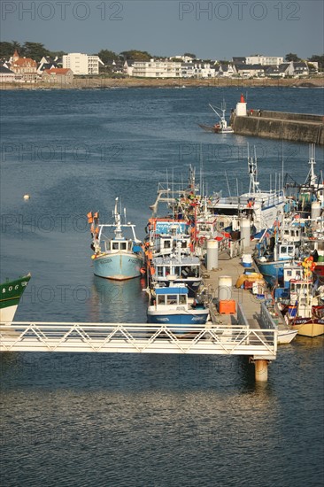 France, Bretagne, morbihan, quiberon, port maria, bateaux, chalutiers, bateaux de peche, barques,