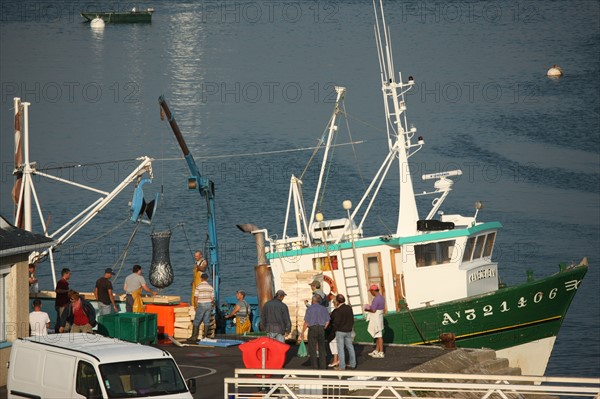 France, Bretagne, morbihan, quiberon, port maria, bateaux, chalutiers, debarque du poisson peche, filets, pecheurs,