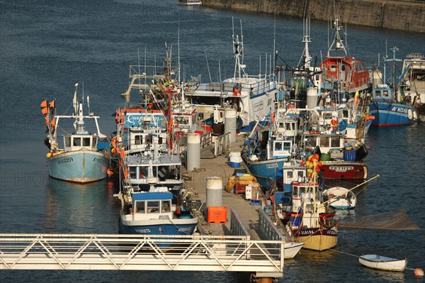 France, Bretagne, morbihan, quiberon, port maria, bateaux, chalutiers, bateaux de peche, barques,