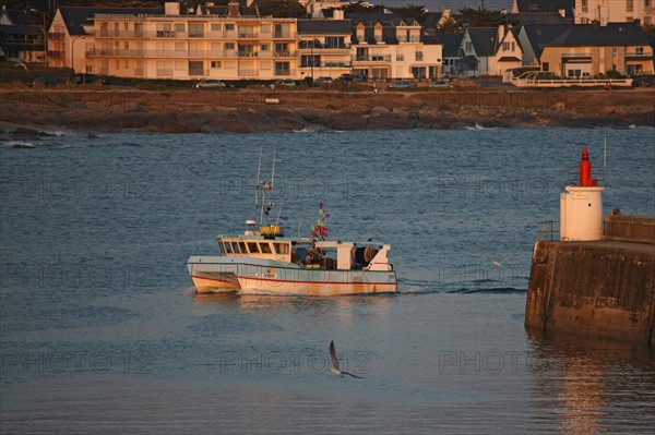 France, Bretagne, morbihan, quiberon, port maria, bateaux, chalutiers, catamaran de peche de retour au port, goelands, digue,