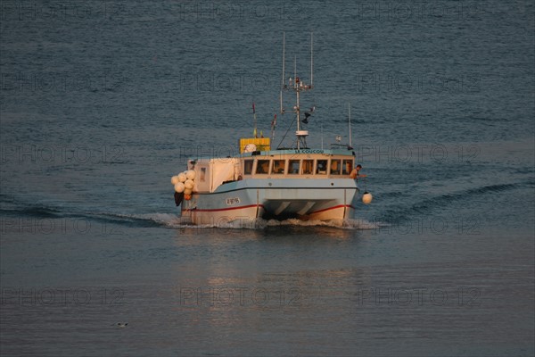 France, Bretagne, morbihan, quiberon, port maria, bateaux, chalutiers, catamaran de peche de retour au port,