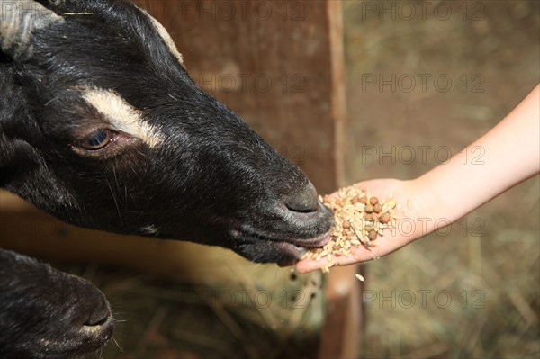 France, welcome to the farm